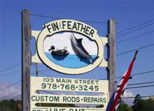 Fin & Feather Shop
